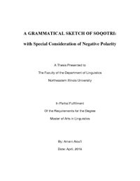 cover of the book A Grammatical Sketch of Soqotri: with Special Consideration of Negative Polarity