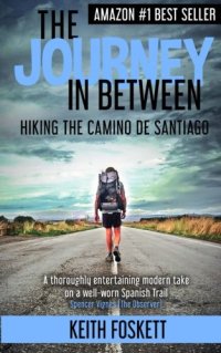 cover of the book The Journey in Between