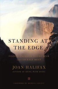 cover of the book Standing at the Edge: Finding Freedom Where Fear and Courage Meet