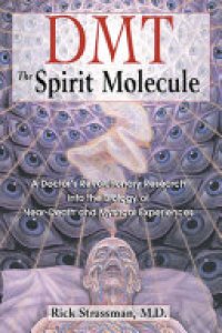 cover of the book DMT: The Spirit Molecule