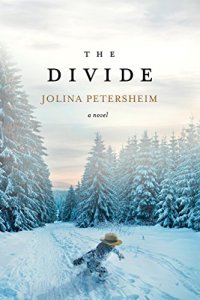 cover of the book The Divide