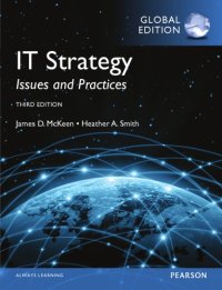 cover of the book IT strategy : issues and practices