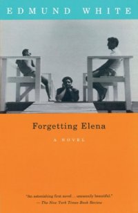 cover of the book Forgetting Elena: A Novel