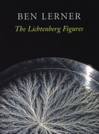 cover of the book The Lichtenberg Figures