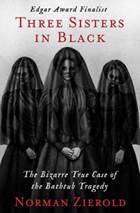 cover of the book Three Sisters in Black: The Bizarre True Case of the Bathtub Tragedy