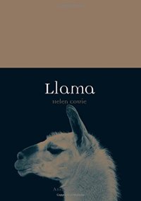 cover of the book Llama