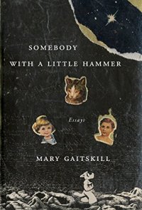 cover of the book Somebody with a Little Hammer: Essays