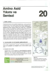 cover of the book Lippincott’s İllustrated Reviews Biyokimya