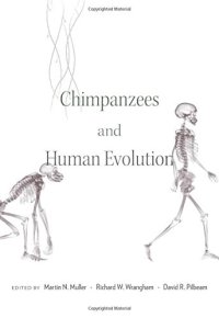 cover of the book Chimpanzees and Human Evolution