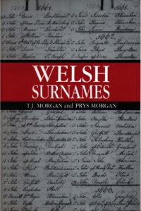 cover of the book Welsh Surnames