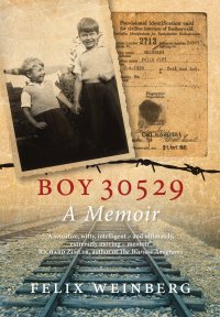 cover of the book Boy 30529