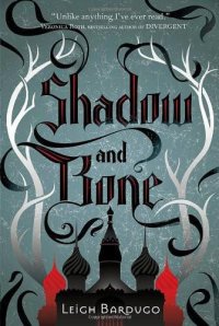 cover of the book Shadow and Bone