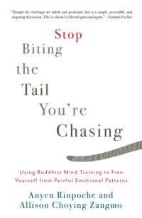 cover of the book Stop biting the tail you’re chasing : using Buddhist mind training to free yourself from painful emotional patterns