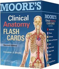 cover of the book Moore’s clinical anatomy flash cards