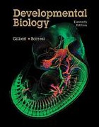 cover of the book Developmental biology