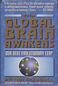 cover of the book The Global Brain Awakens: Our Next Evolutionary Leap