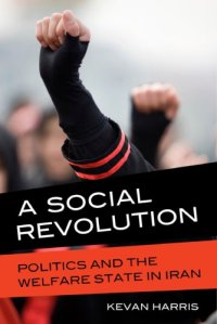 cover of the book A Social Revolution: Politics and the Welfare State in Iran