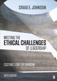 cover of the book Meeting the Ethical Challenges of Leadership: Casting Light or Shadow