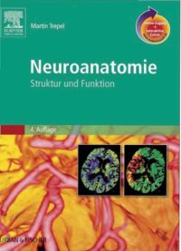 cover of the book Neuroanatomie : Struktur und Funktion