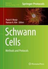 cover of the book Schwann Cells