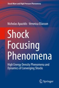 cover of the book Shock Focusing Phenomena