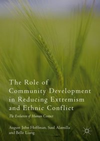 cover of the book The Role of Community Development in Reducing Extremism and Ethnic Conflict