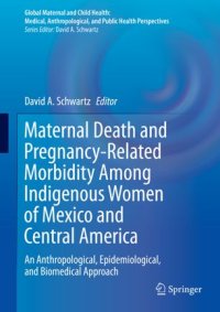 cover of the book Maternal Death and Pregnancy-Related Morbidity Among Indigenous Women of Mexico and Central America