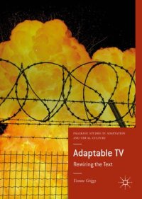 cover of the book Adaptable TV