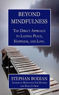 cover of the book Beyond Mindfulness: The Direct Approach to Lasting Peace, Happiness, and Love