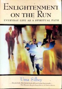 cover of the book Enlightenment on the run