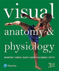 cover of the book Visual Anatomy & Physiology