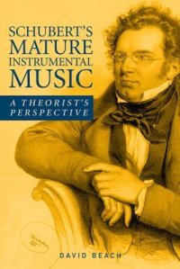 cover of the book Schubert’s Mature Instrumental Music: A Theorist’s Perspective