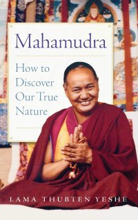 cover of the book Mahamudra: How to Discover Our True Nature