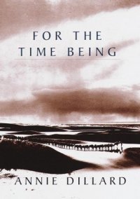 cover of the book For the Time Being