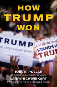 cover of the book How Trump Won