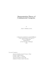 cover of the book Representation Theory of Combinatorial Categories