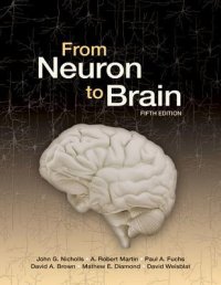 cover of the book From Neuron to Brain, Fifth Edition