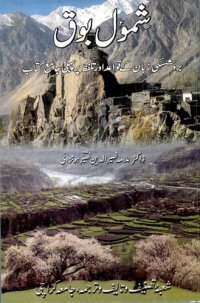 cover of the book شِمݸل بوق