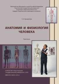 cover of the book Анатомия и физиология человека