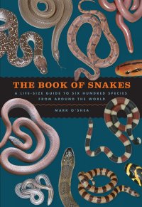 cover of the book The Book of Snakes: A Life-Size Guide to Six Hundred Species from around the World