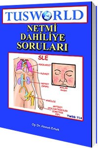 cover of the book Netmi Dahiliye Soruları