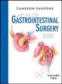 cover of the book Atlas of Gastrointestinal Surgery, Volume 2