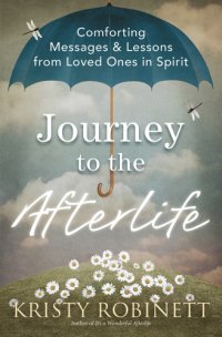 cover of the book Journey to the Afterlife: Comforting Messages & Lessons from Loved Ones in Spirit