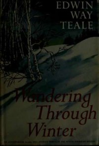 cover of the book Wandering Through Winter