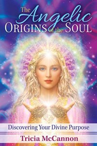 cover of the book The Angelic Origins of the Soul: Discovering Your Divine Purpose