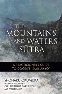 cover of the book The Mountains and Waters Sutra: A Practitioner’s Guide to Dogen’s "Sansuikyo"