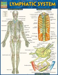 cover of the book Lymphatic System