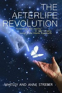 cover of the book The Afterlife Revolution