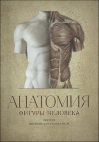 cover of the book Анатомия фигуры человека: Краткое пособие для художников