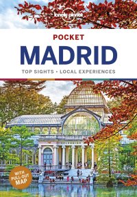 cover of the book Pocket Madrid